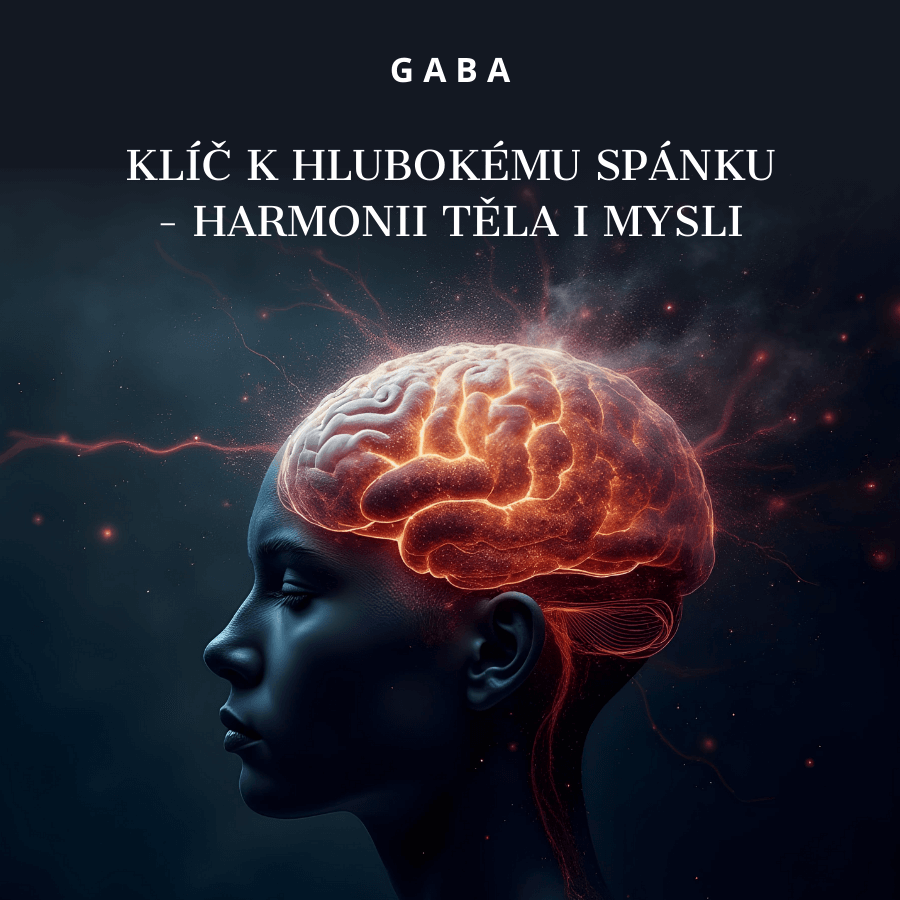 GABA kl k hlubokmu spnku