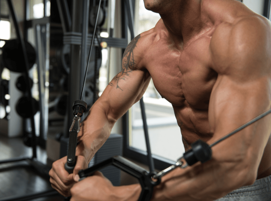 Jak si udr�et svalovou hmotu dlouhodob�.